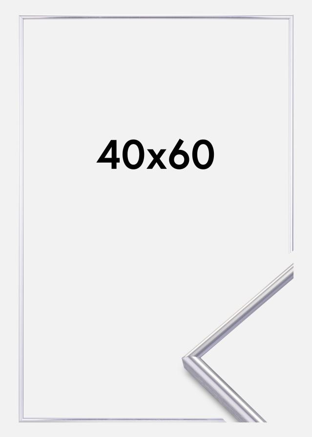 Rám Can-Can Strieborná 40x60 cm