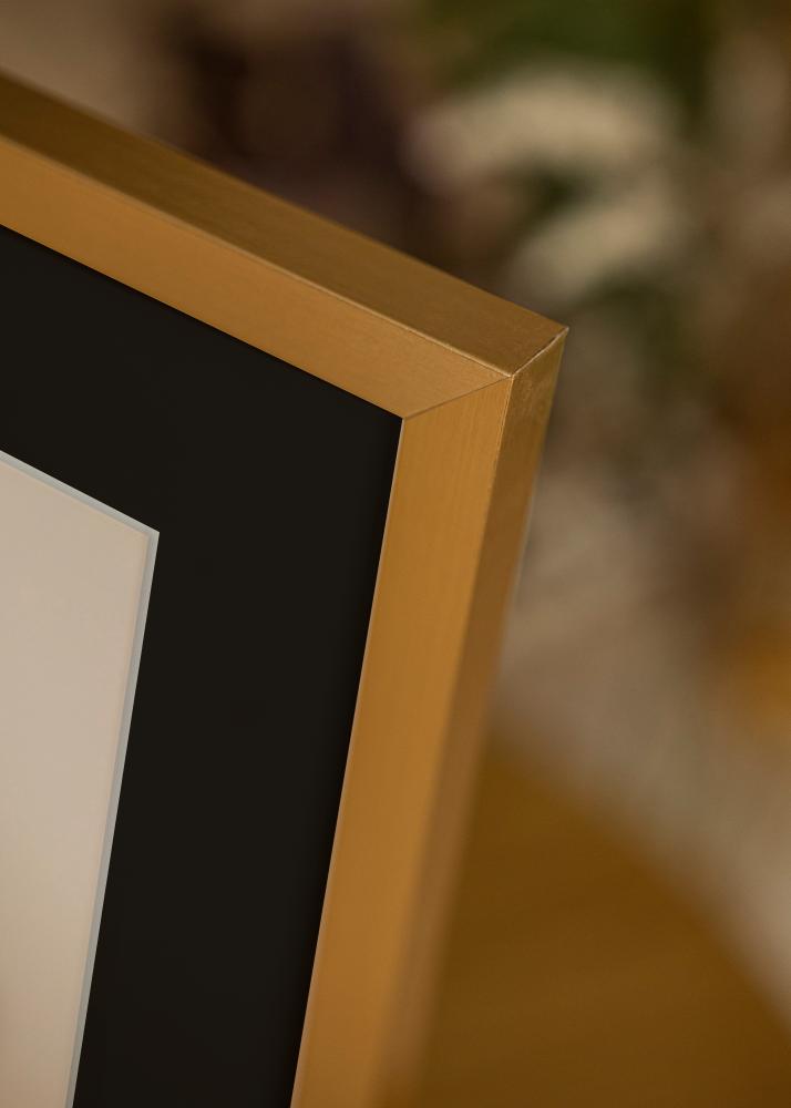Rám Selection Zlatá 40x60 cm - Pasparta Cierna 30x50 cm