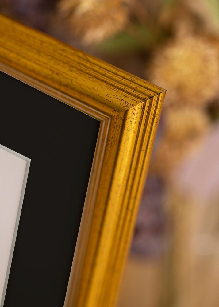 Rám Västkusten Zlatá 50x60 cm - Pasparta Cierna 15x20 inches