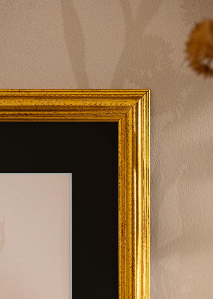 Rám Västkusten Zlatá 50x60 cm - Pasparta Cierna 15x20 inches