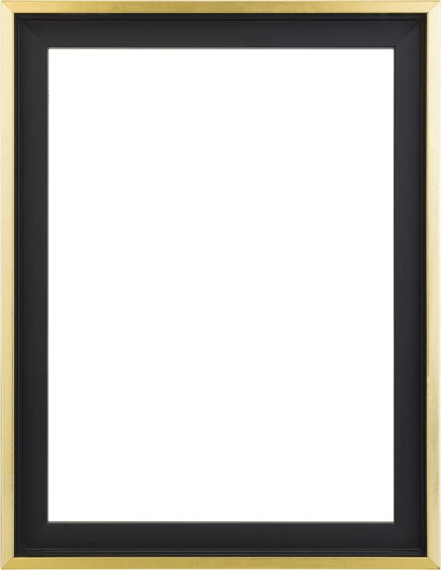 Rám pre obraz na plátne Tacoma Cierna / Zlatá 20x50 cm