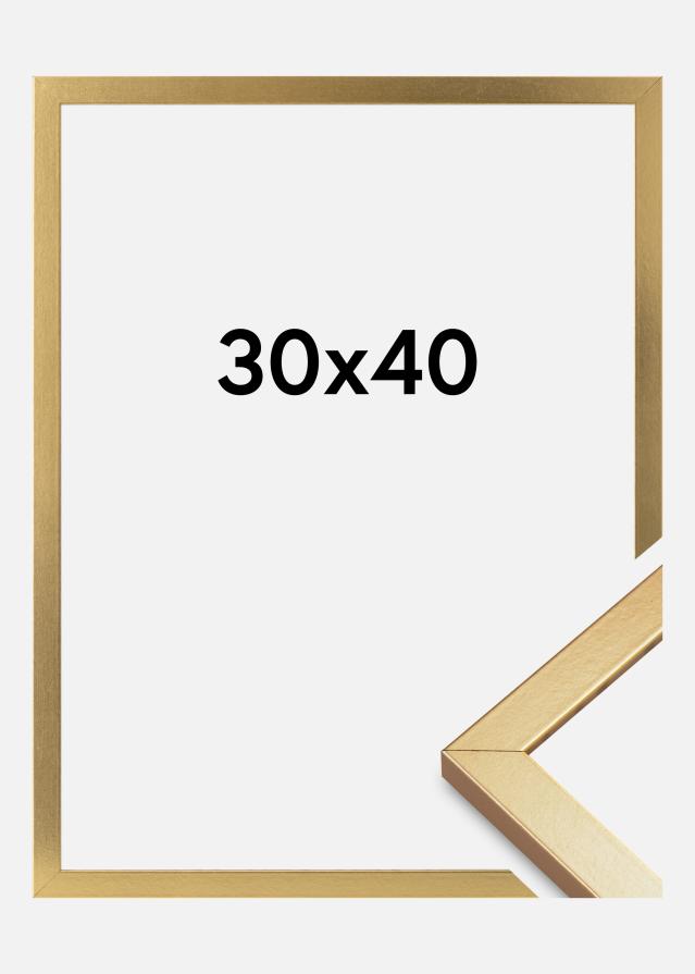 Rám Minerva Akrylové sklo Zlatá 30x40 cm