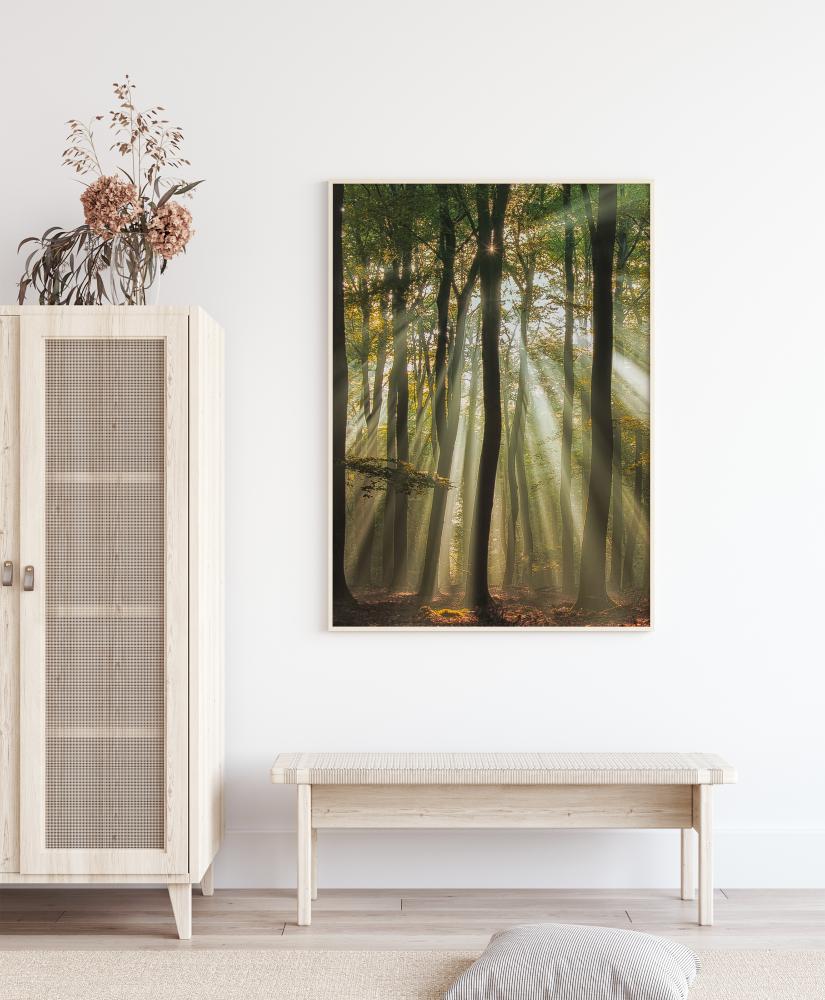 Sunny Start To The Day Plagát