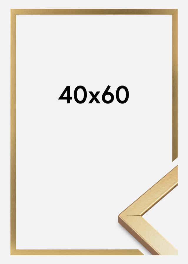Rám Minerva Akrylové sklo Zlatá 40x60 cm