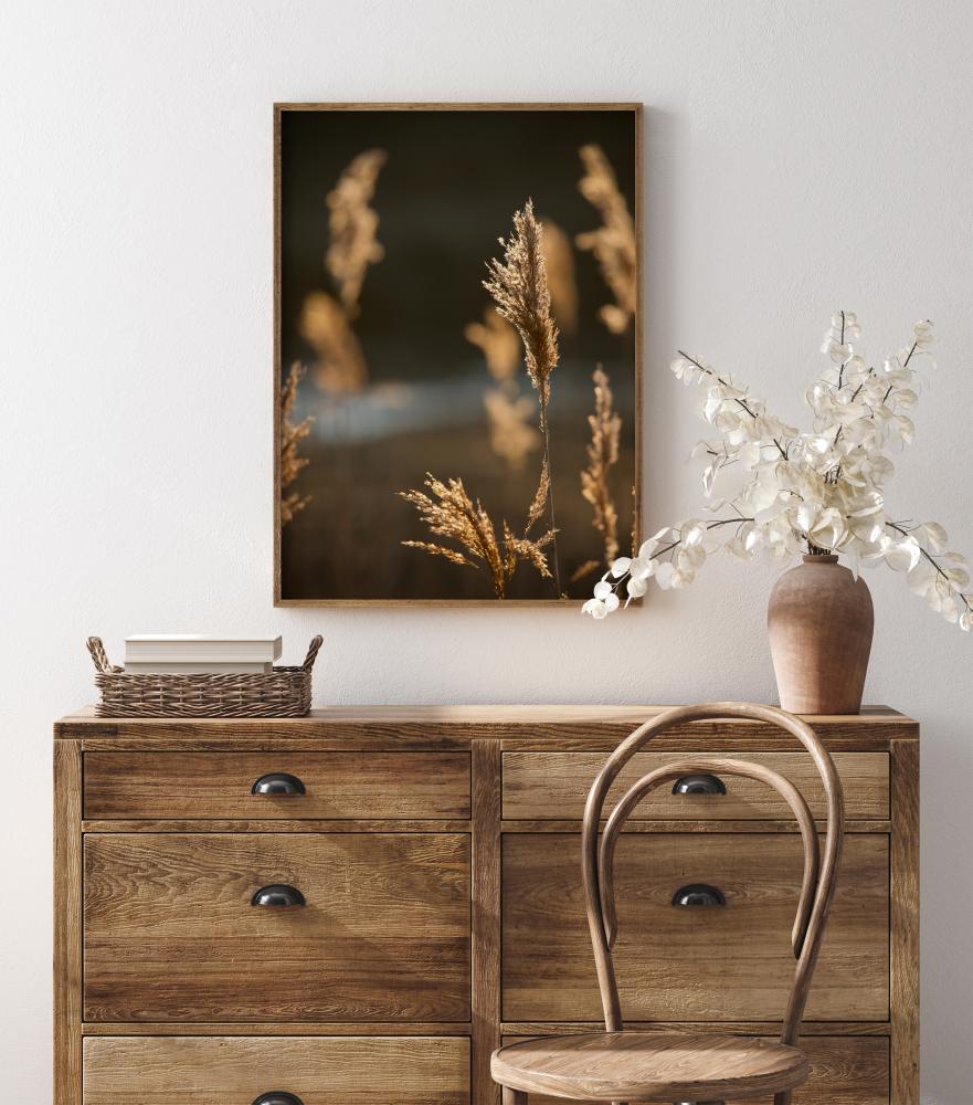 Sunshine On The Fields Plagát