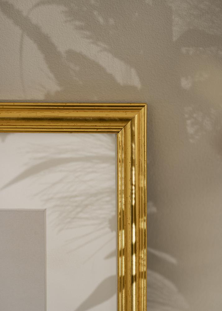 Rám Carl Zlatá 50x70 cm