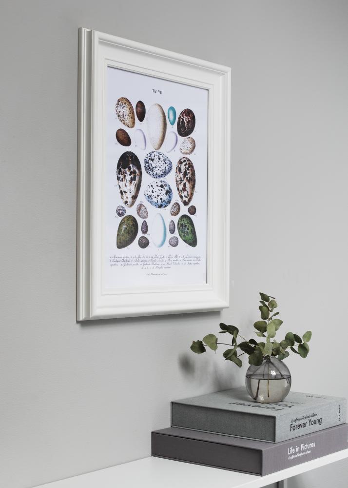 Rám Mora Prémium Biela 42x70 cm