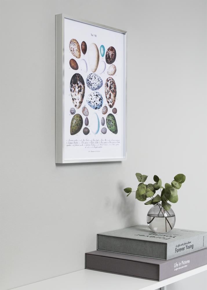 Rám Nielsen Prémium Alpha Strieborný lesklý 50x70 cm