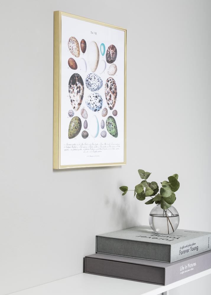 Rám Nielsen Prémium Classic Zlatá 70x100 cm