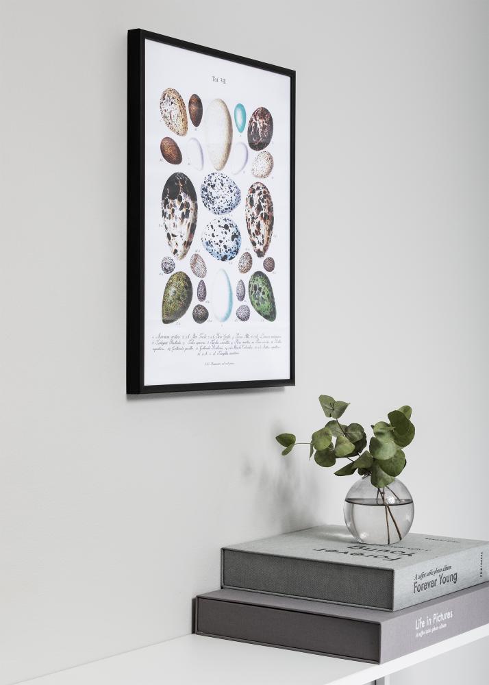 Rám Nielsen Prémium Classic Cierny matný 40x50 cm