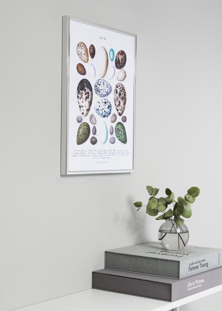 Rám Nielsen Prémium Classic Strieborná 70x90 cm