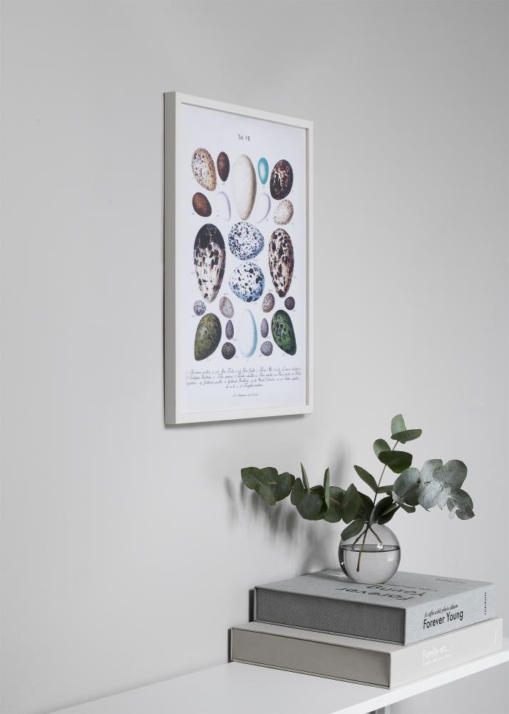 Rám Oslo Akrylové sklo Biela 29,7x42 cm (A3)