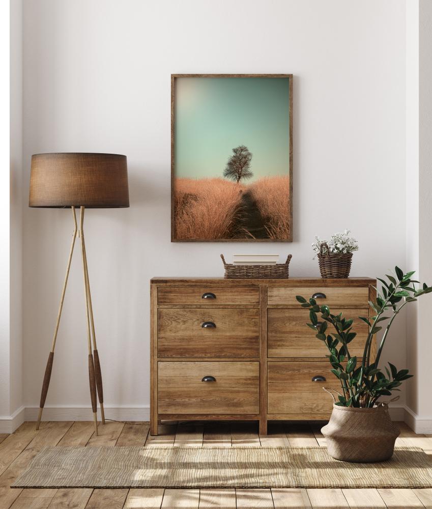 Grass And Path Plagát