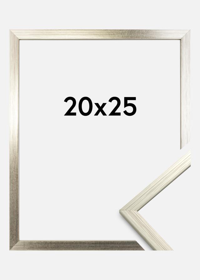 Rám Edsbyn Strieborná 20x25 cm