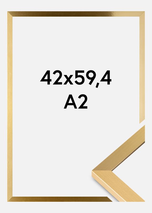 Rám Selection Akrylové sklo Zlatá 42x59,4 cm (A2)