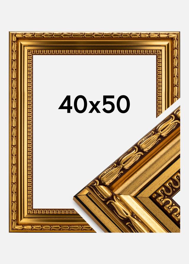 Rám Birka Prémium Zlatá 40x50 cm