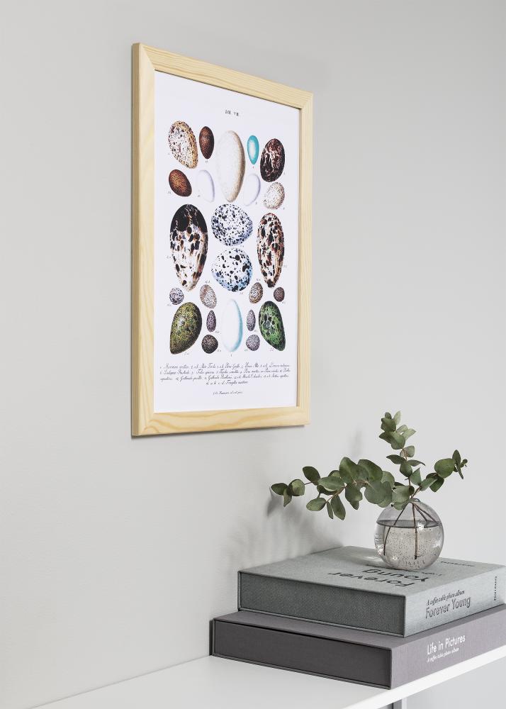 Rám Trendline Akrylové sklo Nature 40x40 cm