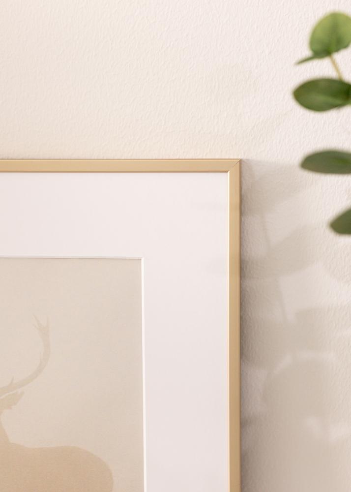 Hliníkový rám Akrylové sklo Mosadz 42x59,4 cm (A2)