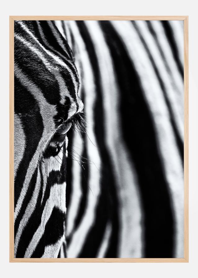 The look of nature Plagát