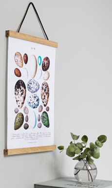 Držiak na plagáty v dube